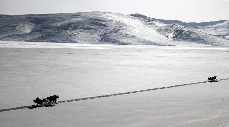 0256 nerenin alan kodu gorulesiyer