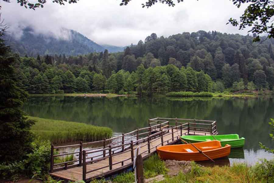 0256 Nerenin Alan Kodu Gorulesiyer