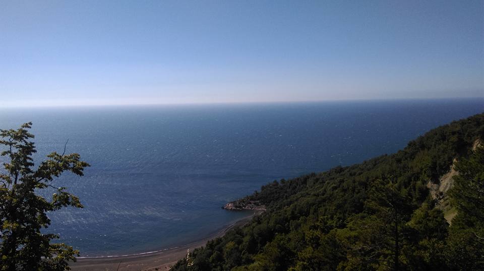 0322 Nerenin Alan Kodu Hangi Nereye Ait Gorulesiyer