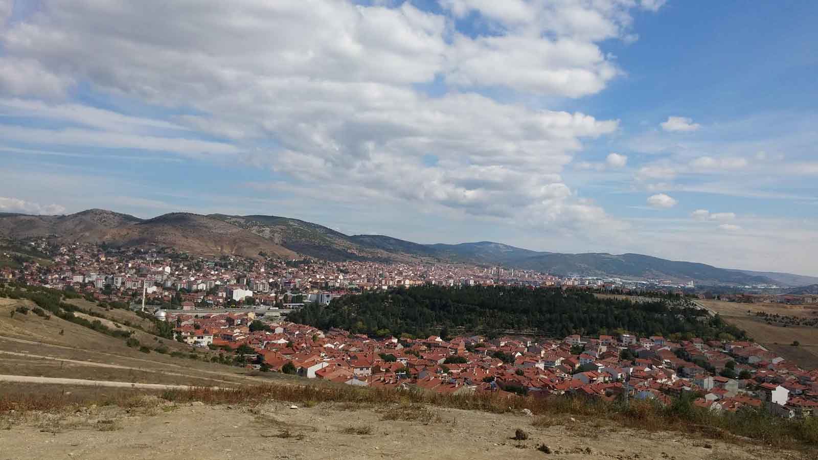 0228 Nerenin Alan Kodu?